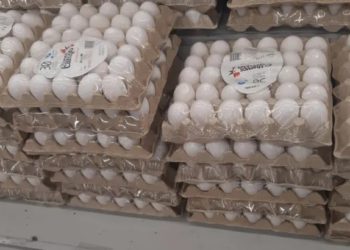 El Gobierno de la RD suspende la exportación huevos hacia Haití
